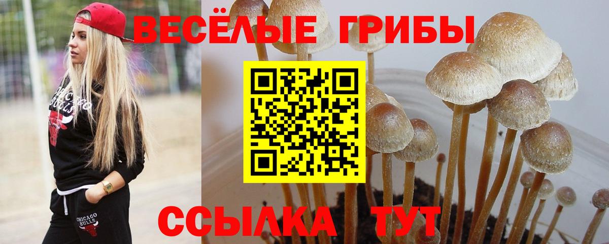 Псилоцибиновые грибы Magic Shrooms Ступино