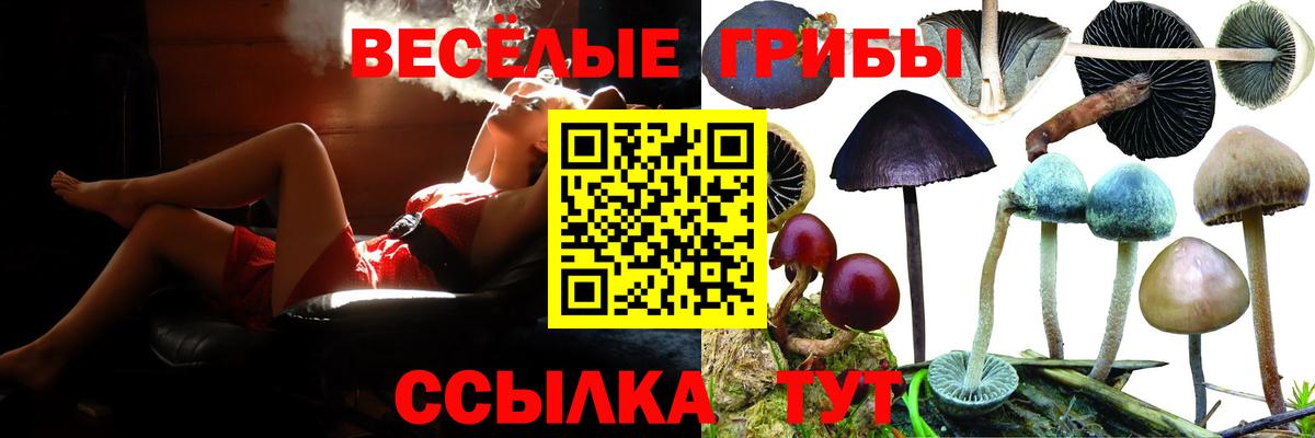 Псилоцибиновые грибы Psilocybine cubensis  Вход с VPN  Ступино 